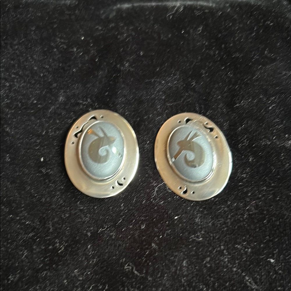Elegant Silver Earrings